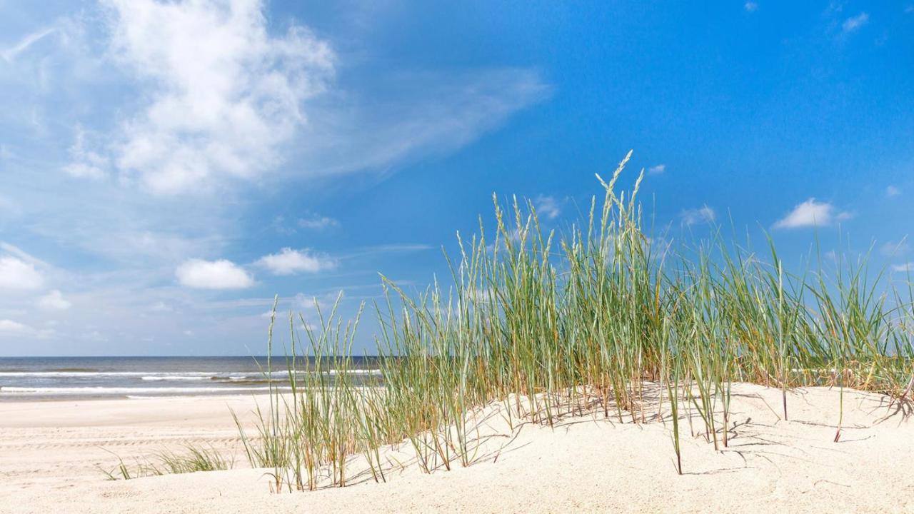 Direct Oceanfront Private Villa Overlooking Pool/Beach - South Forest Beach - Right Next To Coligny Plaza ヒルトンヘッドアイランド エクステリア 写真